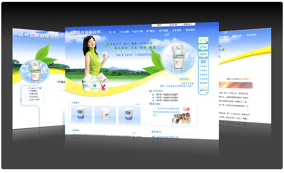 阳江市成辉工贸有限公司